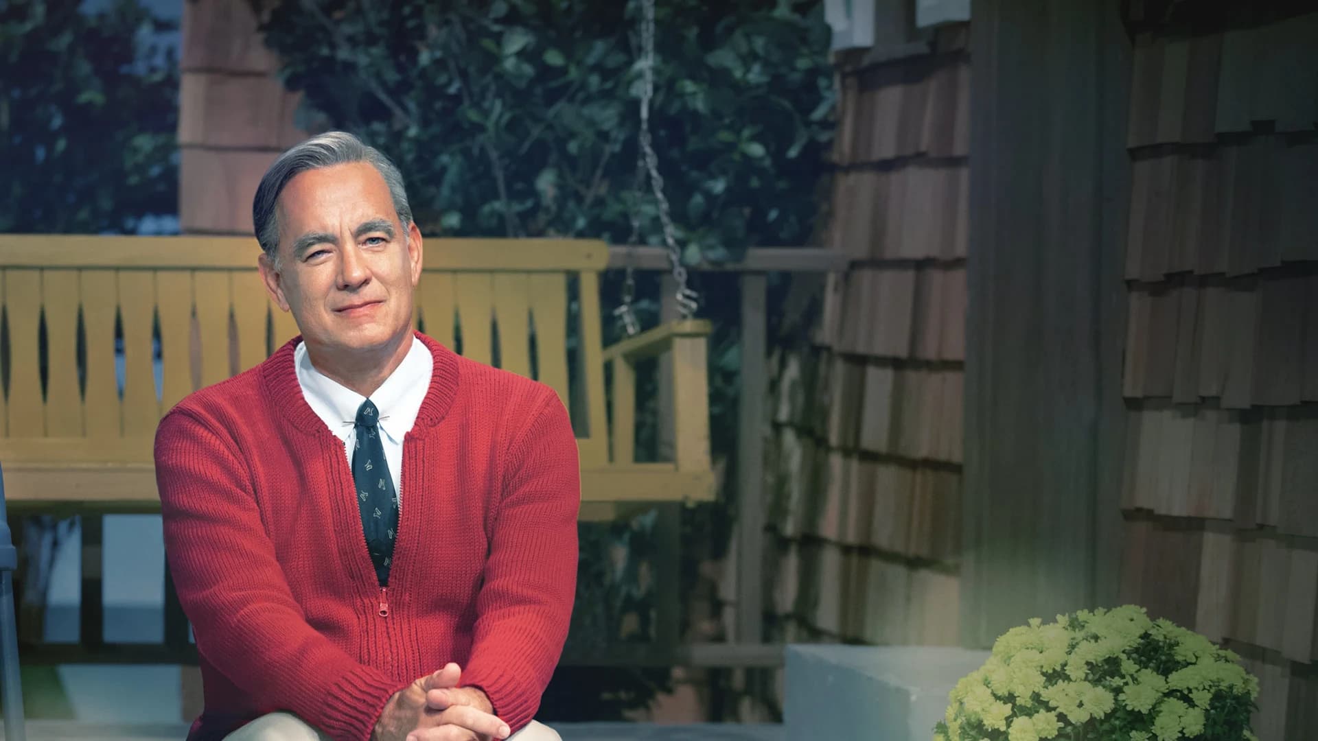 მშვენიერი დღე სამეზობლოში