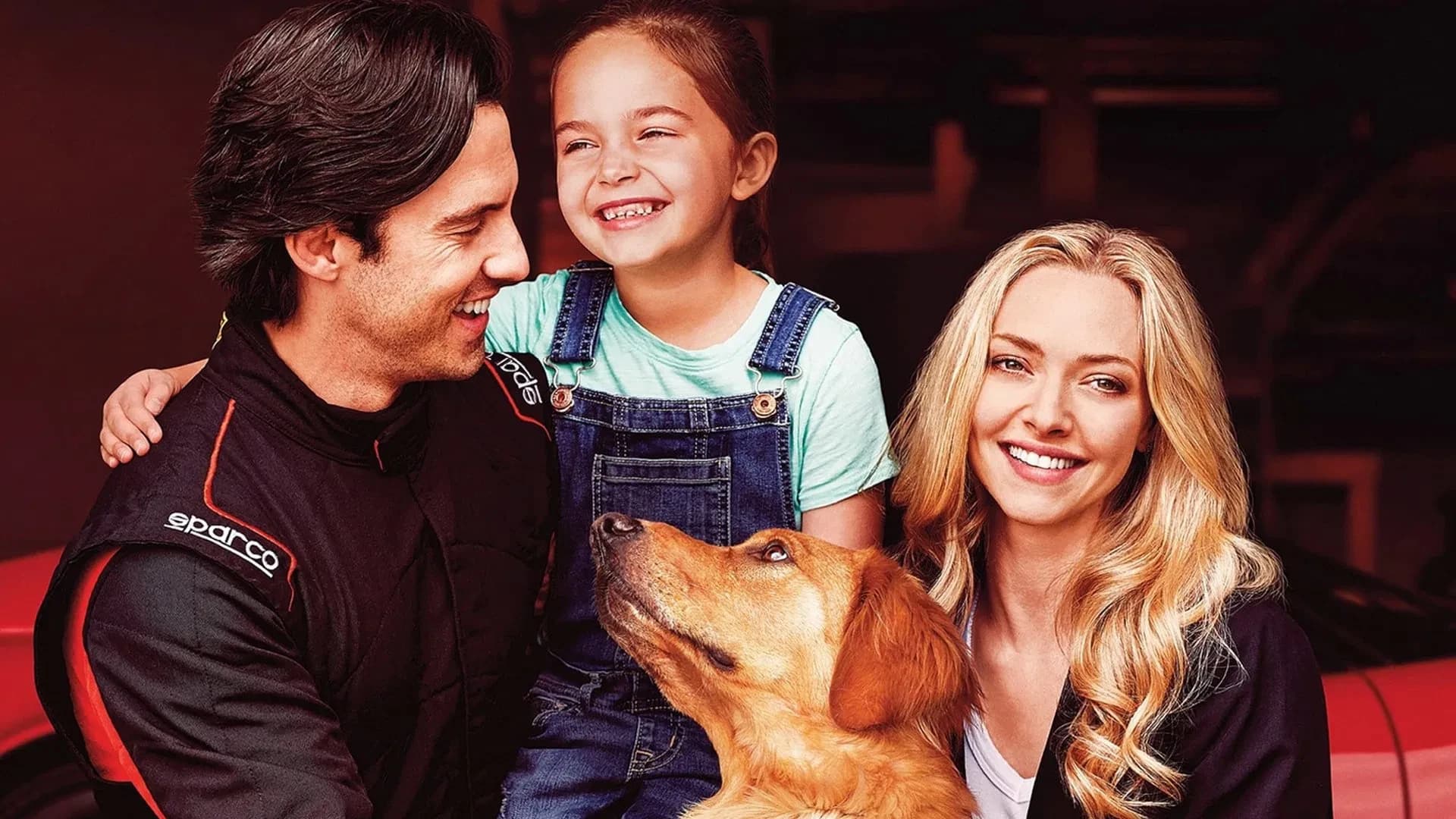 წვიმის ქვეშ რბოლის ხელოვნება