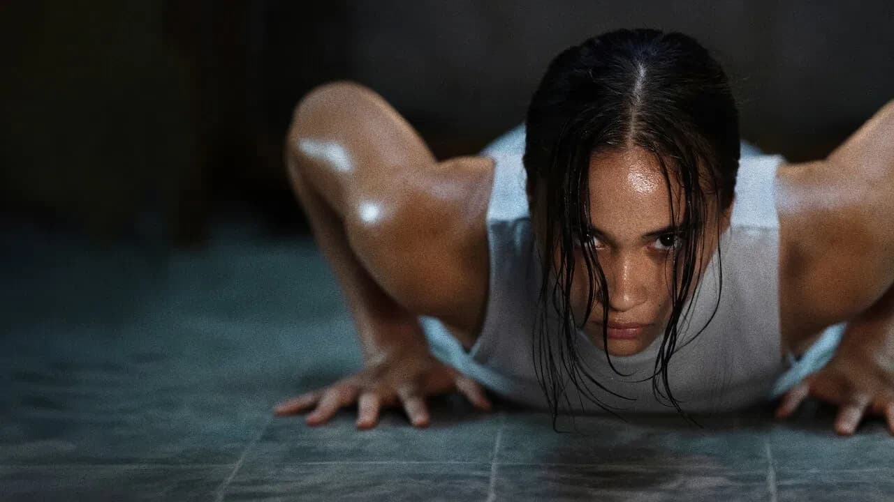 მოხეტიალე ჩრდილი