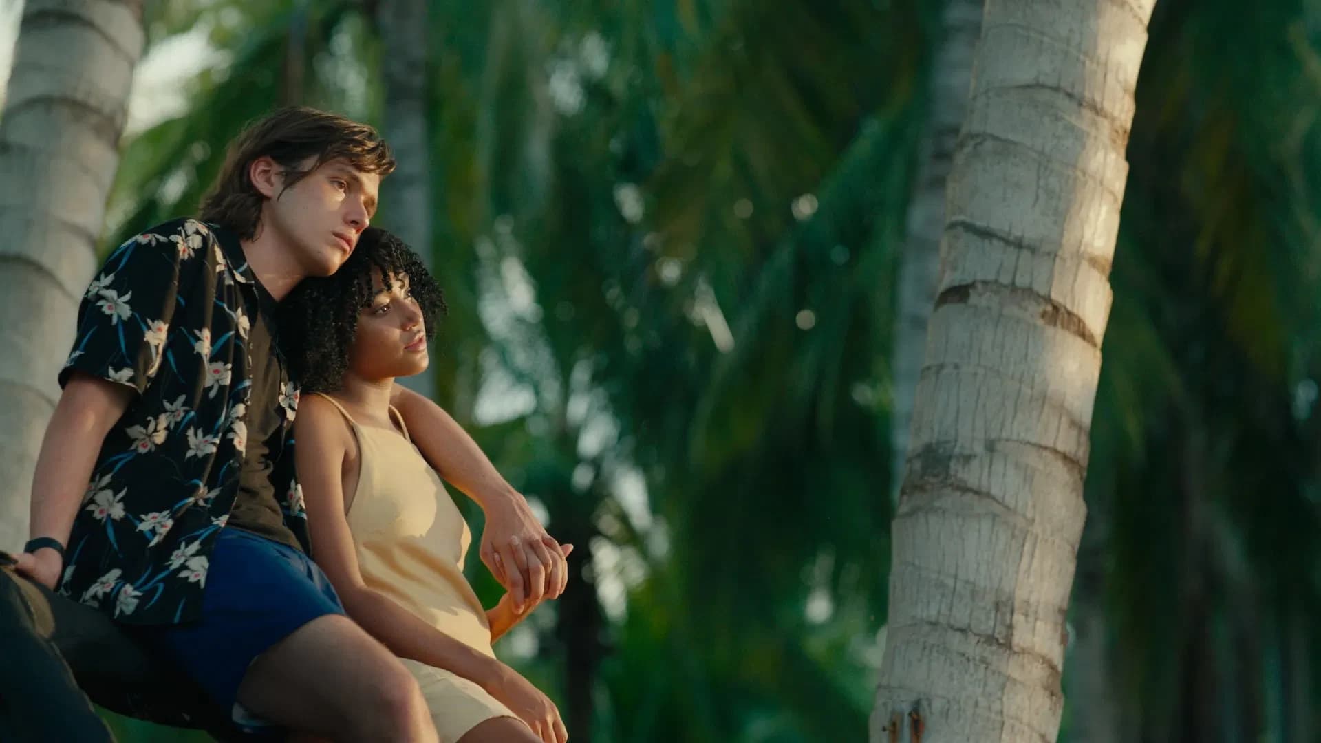 ყველაფერი, ყველაფერი