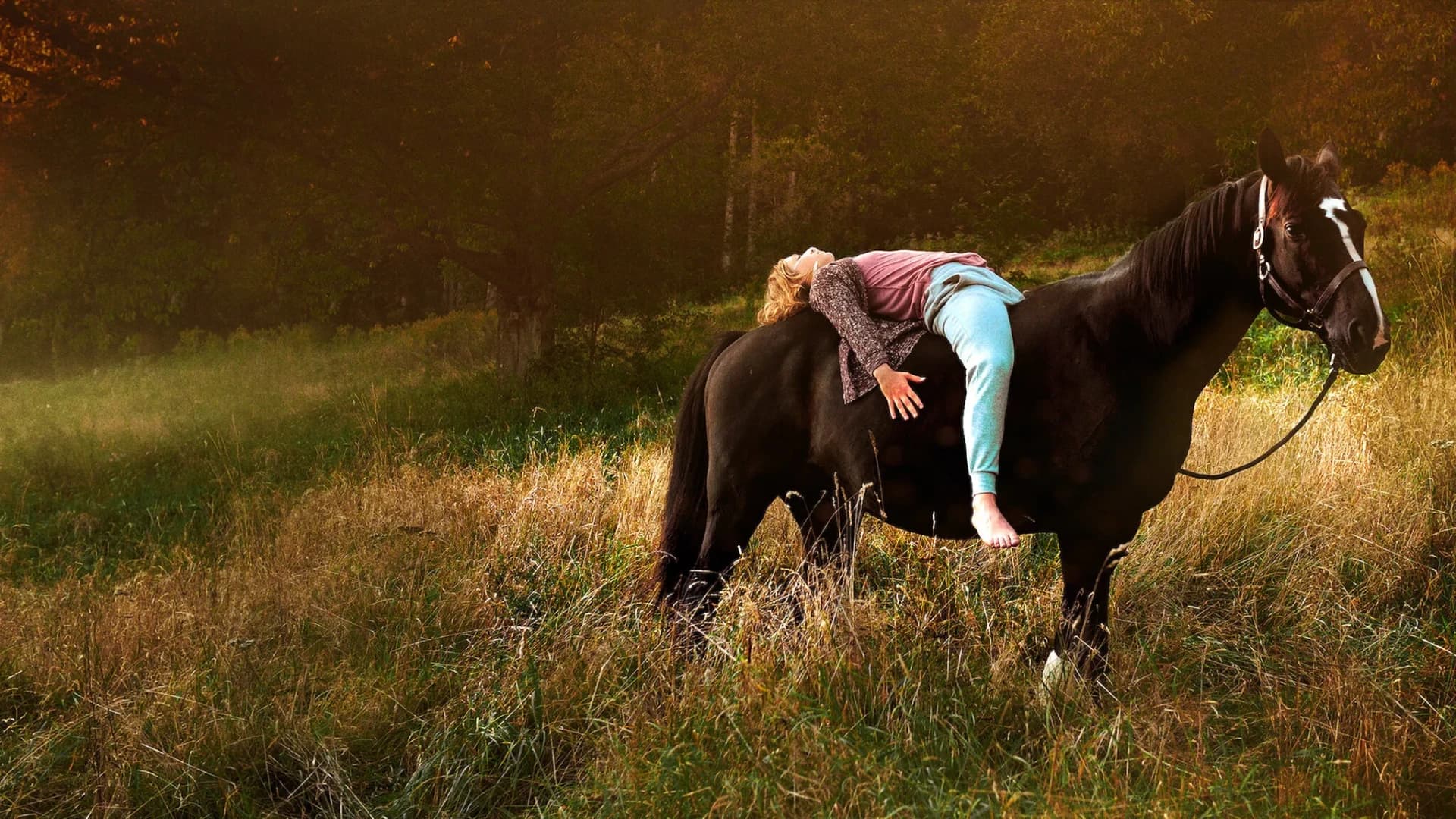 შეწუხებული ჩემი გული