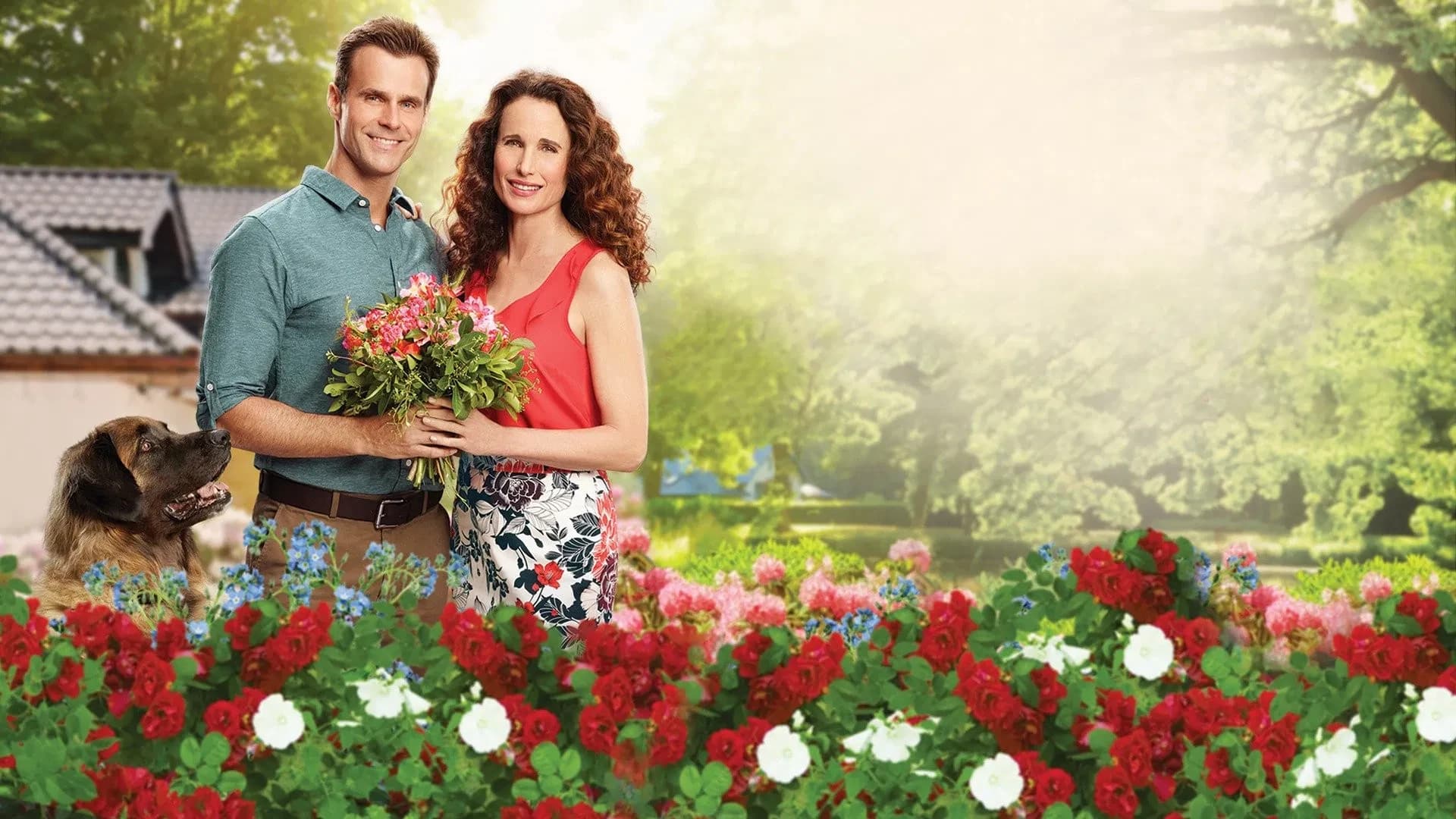 სახლში, მიტფორდში