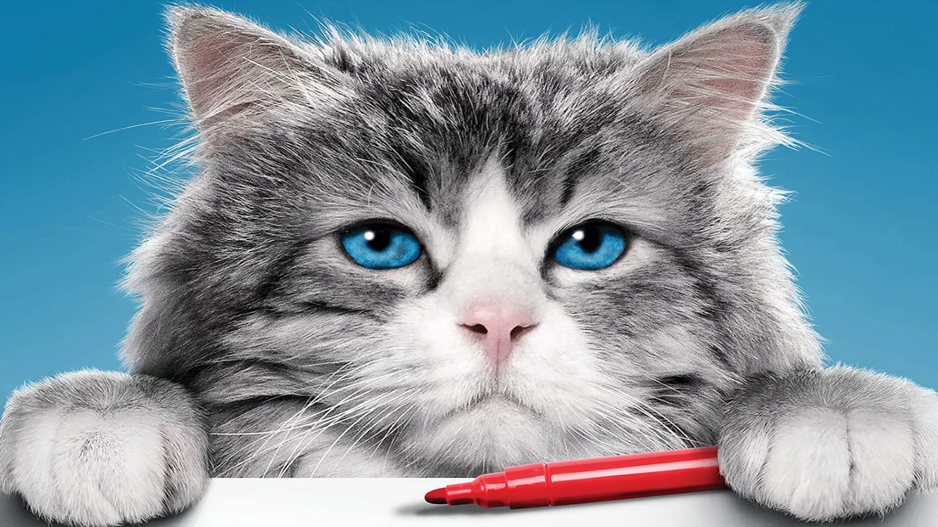 ცხრა სიცოცხლე