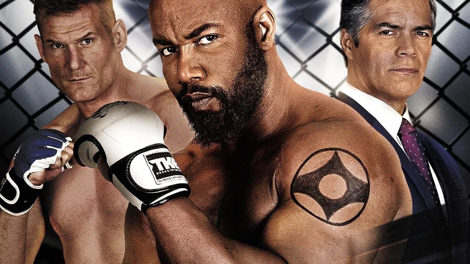 არასოდეს დაიხიო უკან