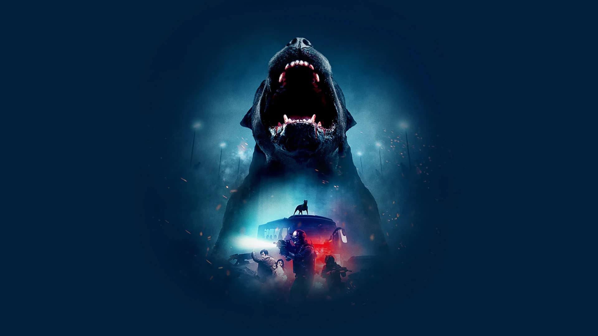 პროექტი სიჩუმე