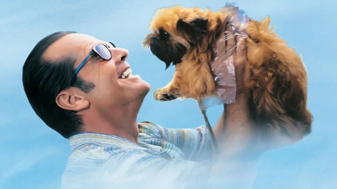 უკეთესი არ არსებობს