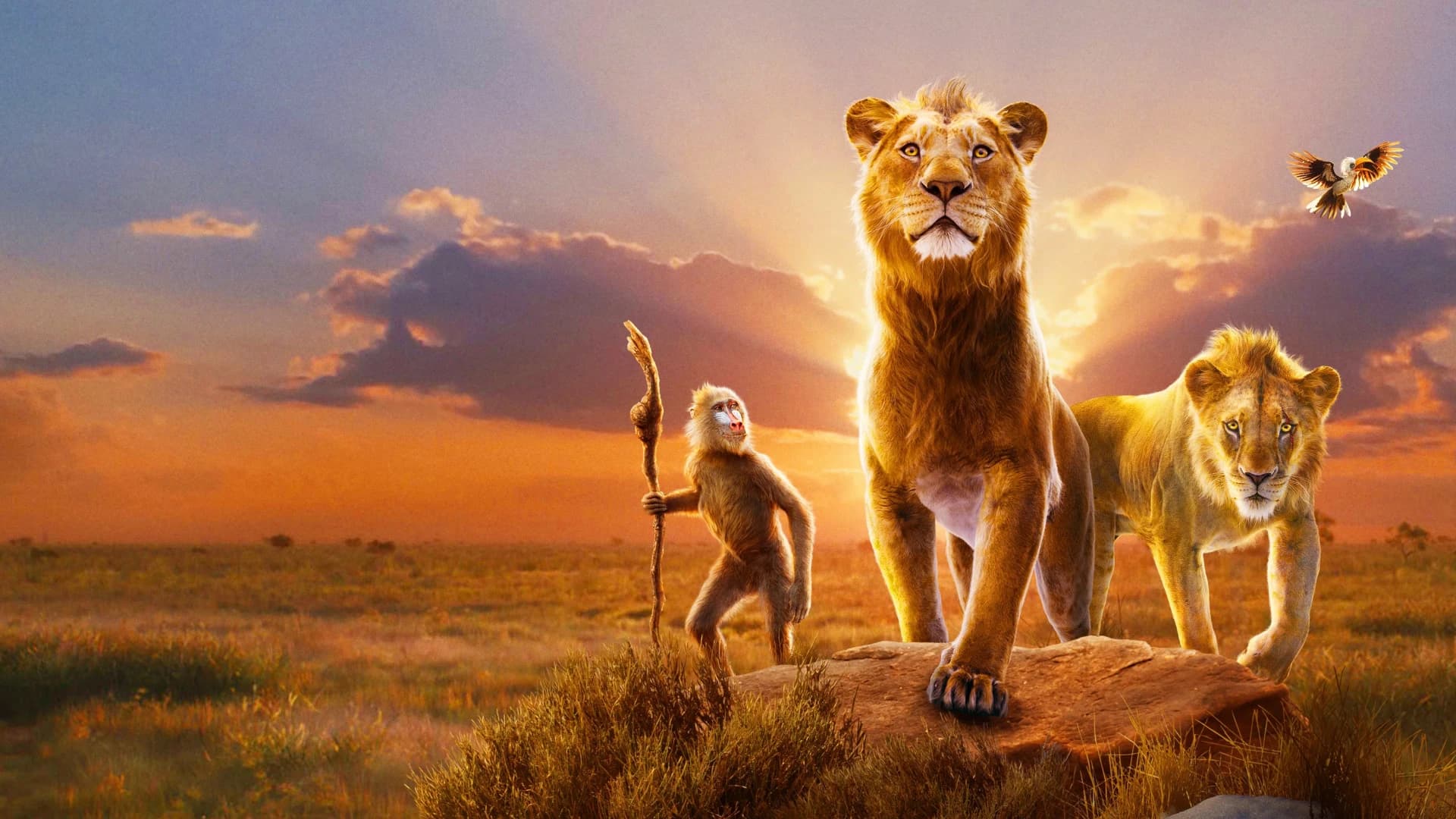 მუფასა: მეფე ლომი