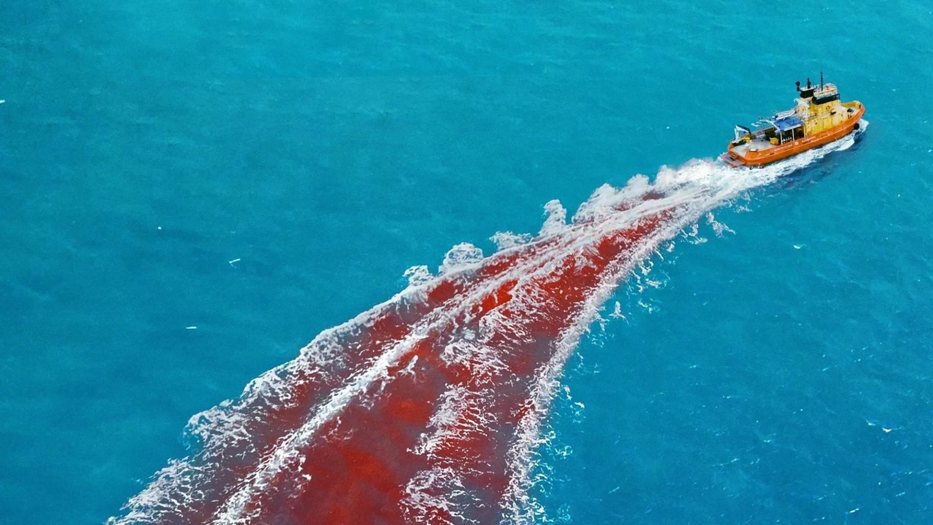 საშიში ცხოველები