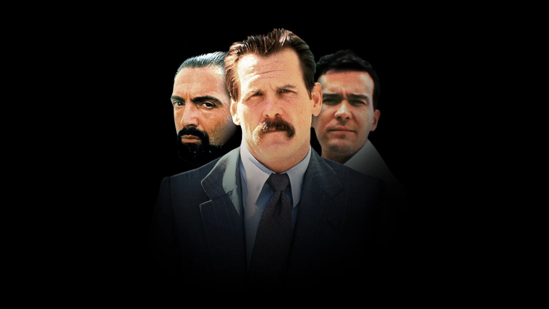 კითხვა პასუხი