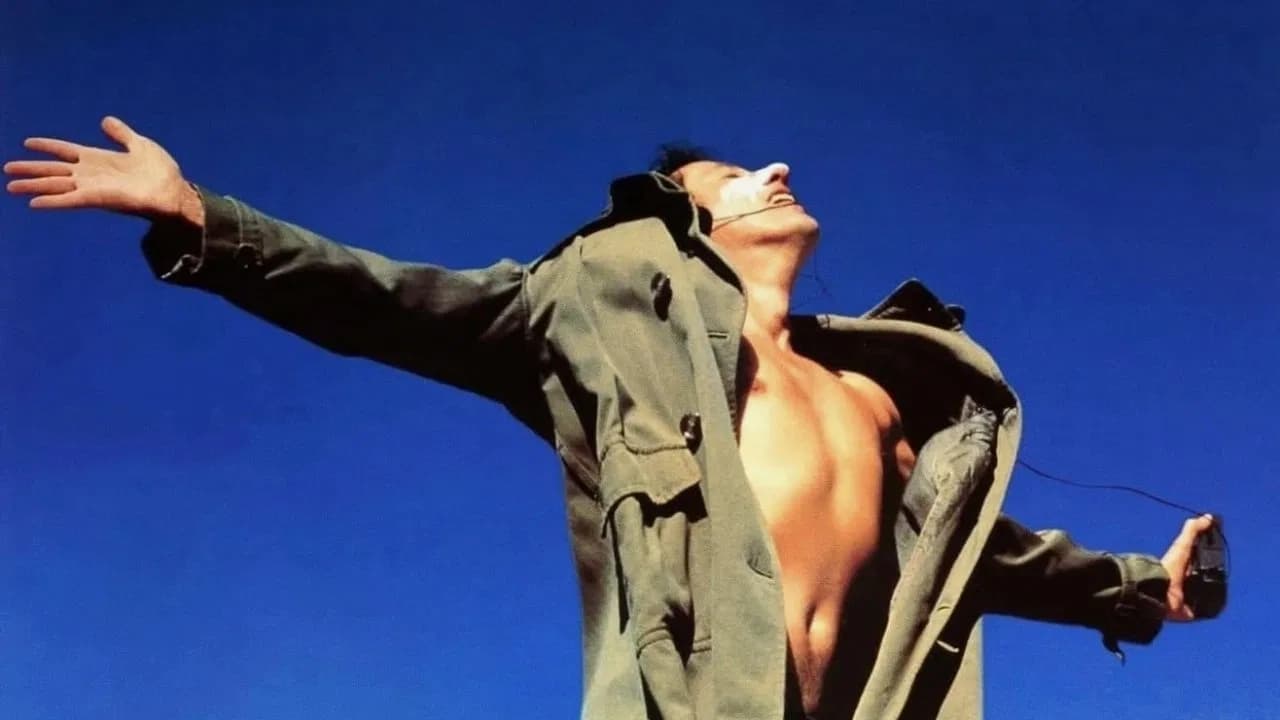 გაბრწყინება