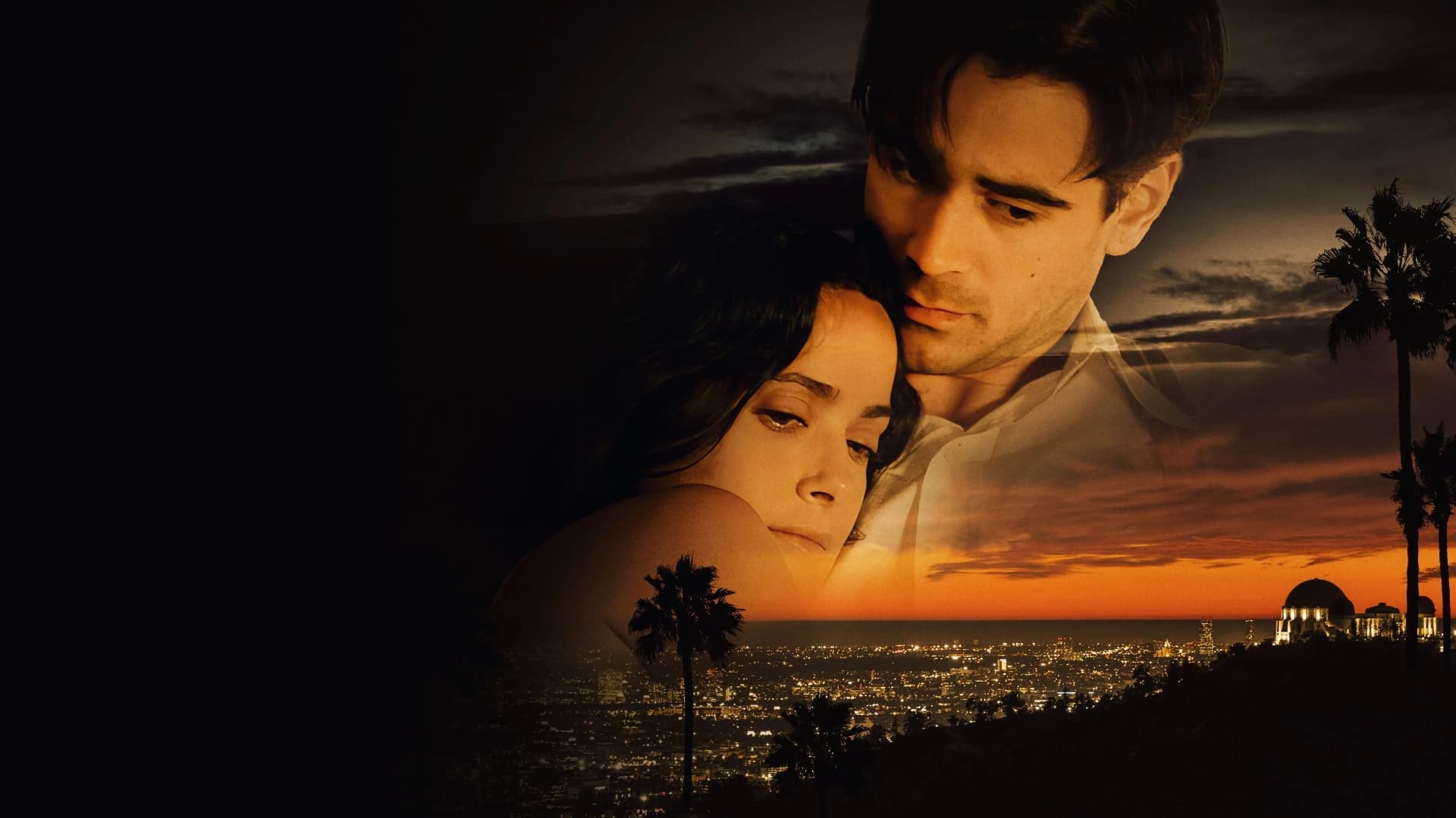 შეეკითხე მტვერს