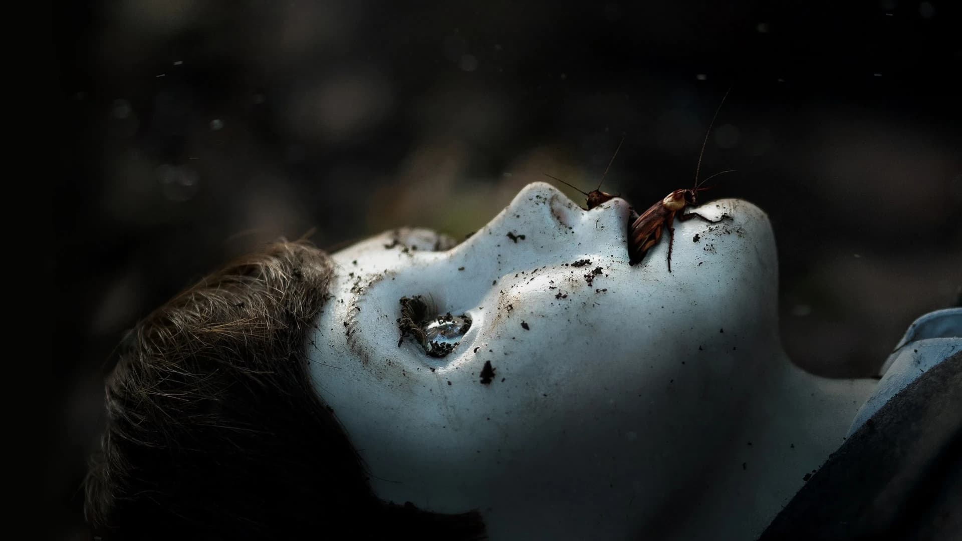 ბრამსი: ბიჭი II