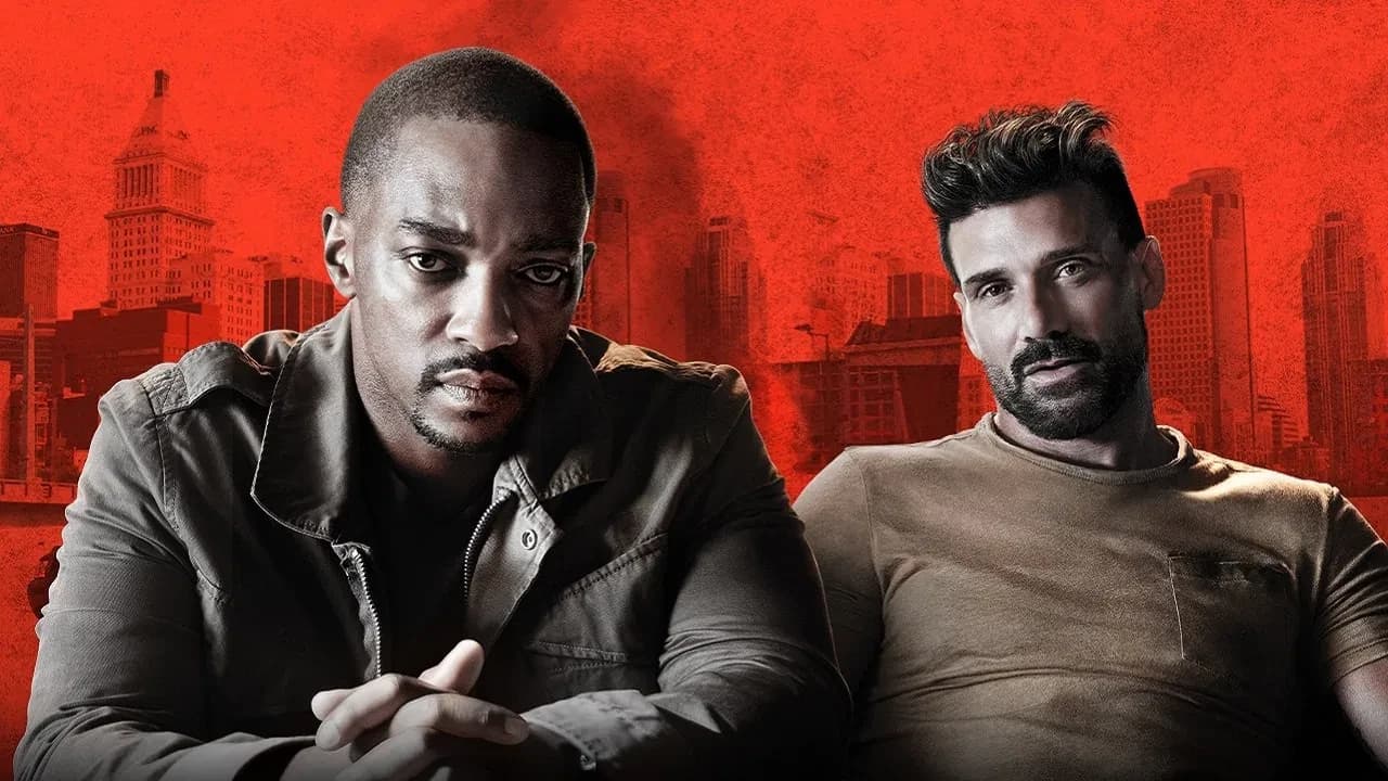 სროლა დამიზნებით